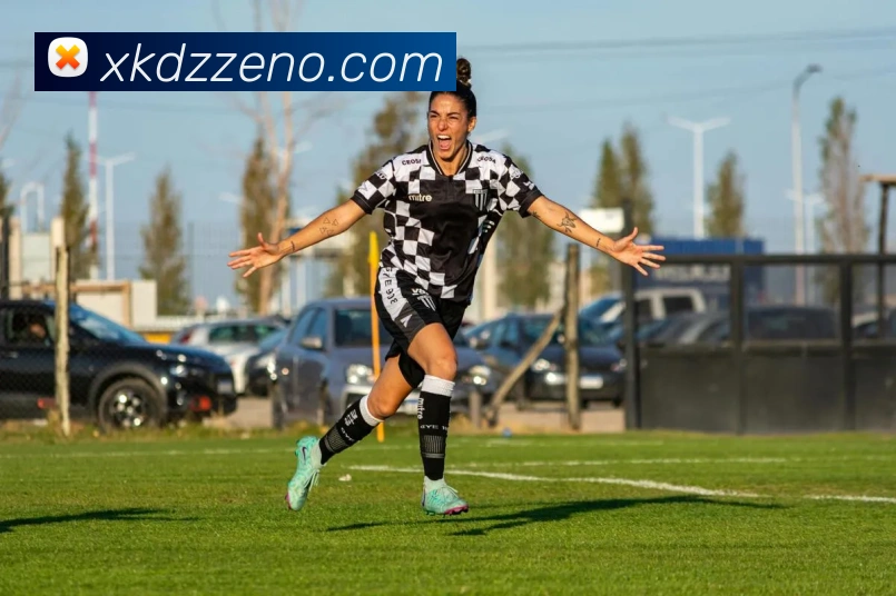 星空电子平台生态图