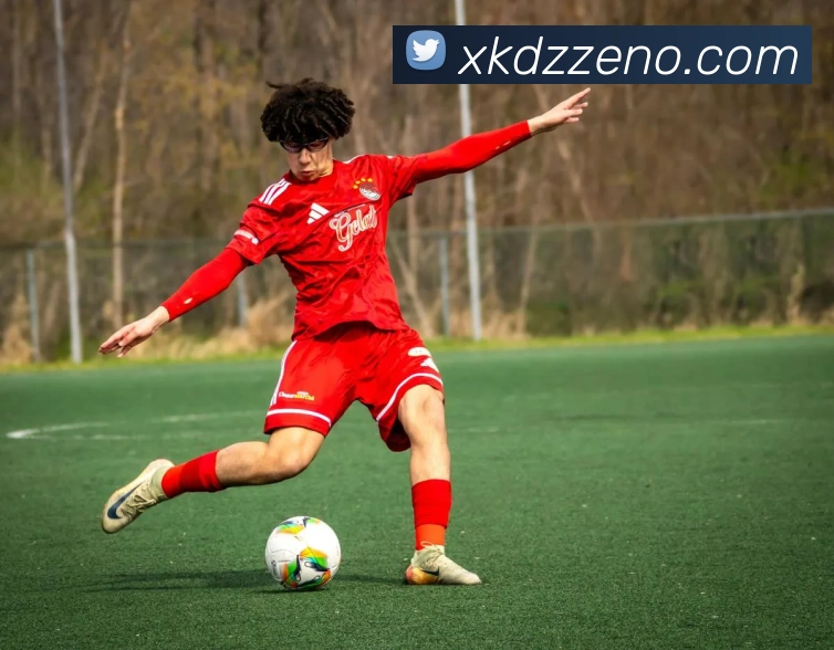 星空电子APP 封面图